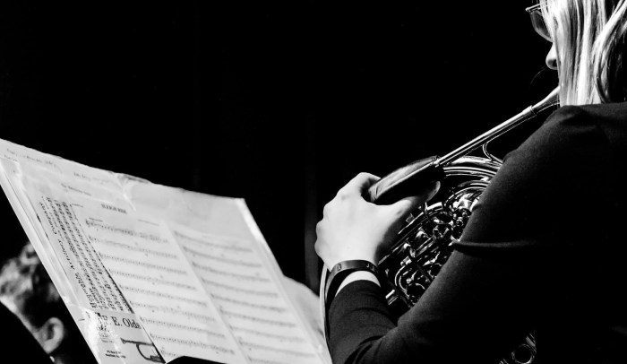 Arlington Concert Band horn player